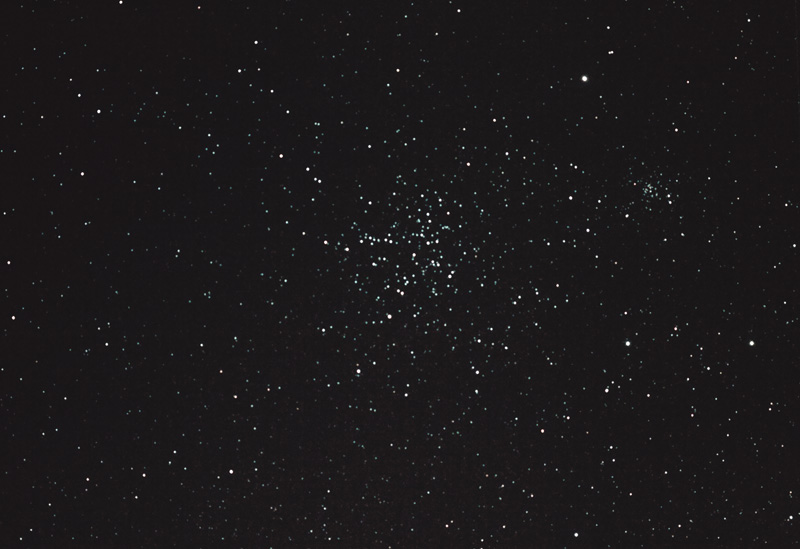 M38 M38