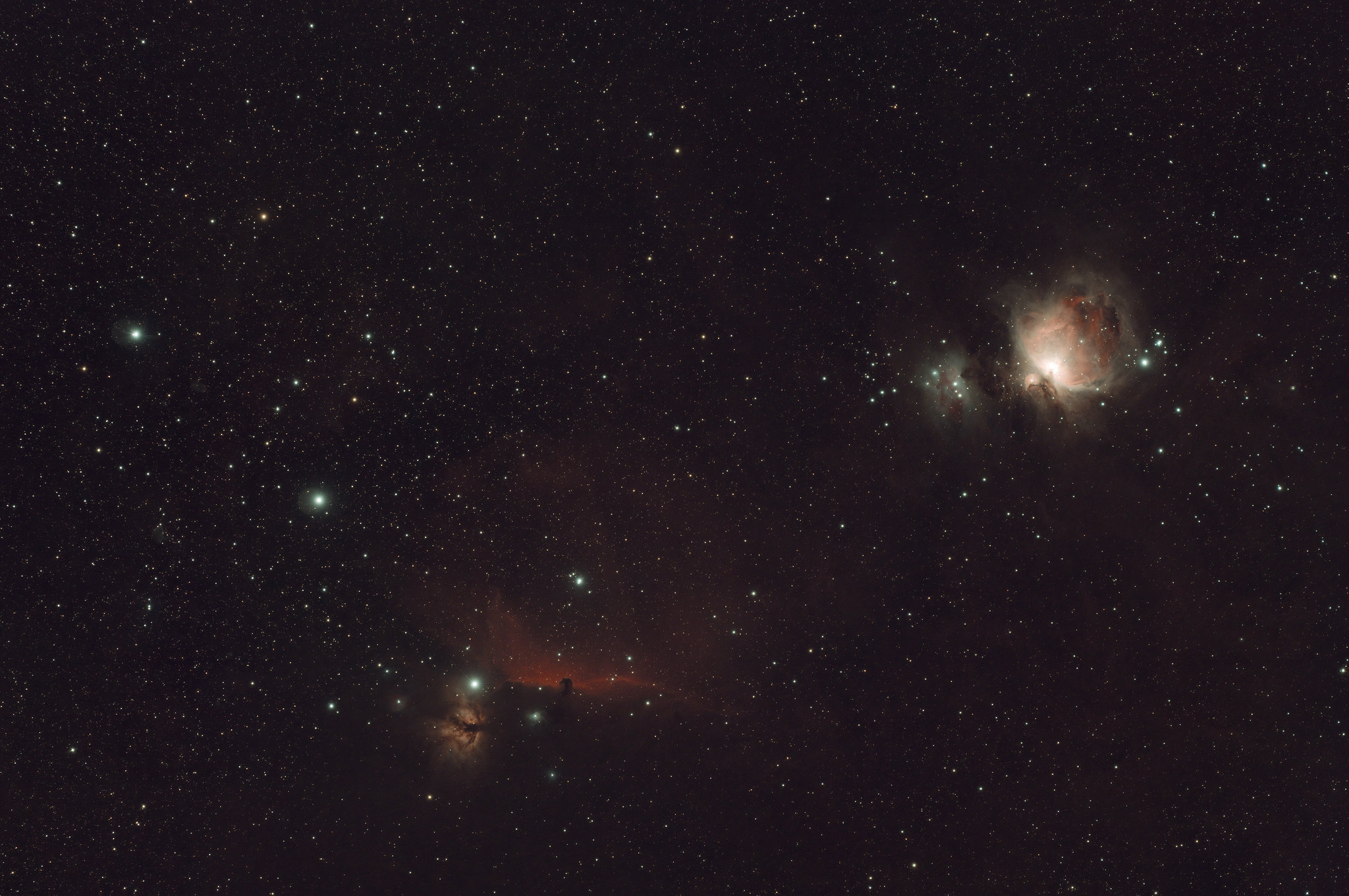 Orion - Image Credit Greig Louden