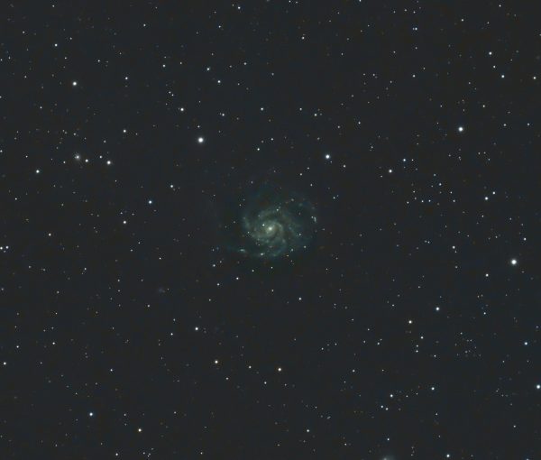 M101 Pinwheel Galaxy Pat Devine Williams Optics Redcat 51 ZWO183mc pro Optolong l-pro filter