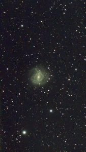 Seestar image of M83 Barred Spiral Galaxy in Hydra on the border with Centaurus, known as the Southern Pinwheel. Taken from the Margaret River area of SW Australia, March 2024. About 20 minutes of 10 second exposures.