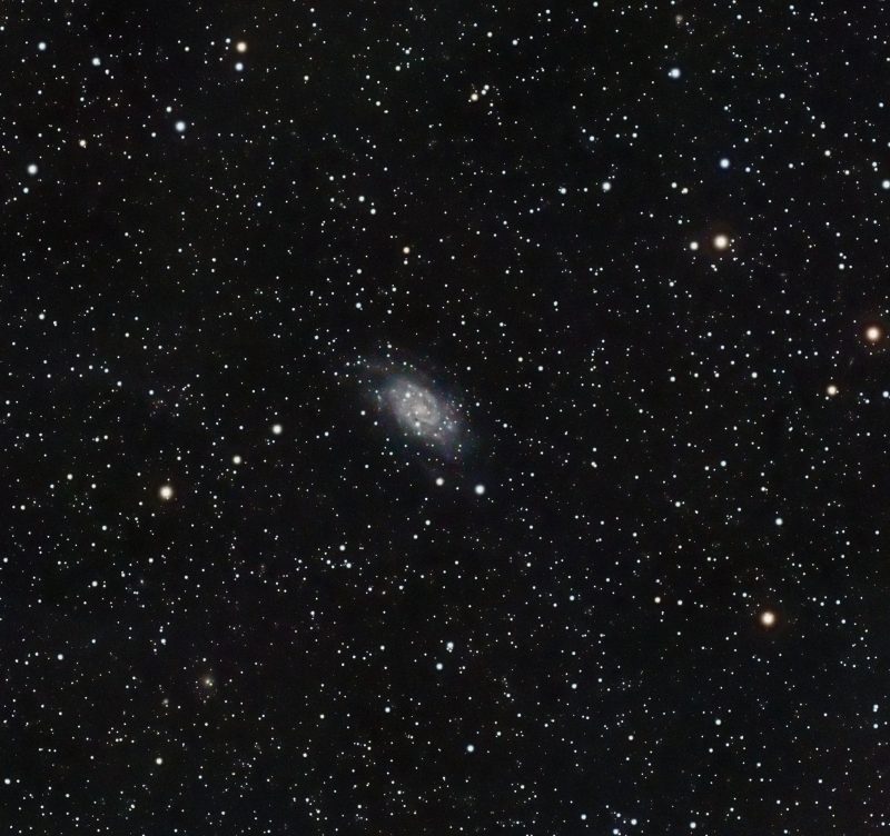 C7 or NGC2403 Pat Devine