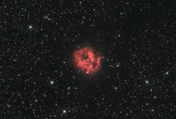 C19 Cocoon Nebula, Mark Phillips