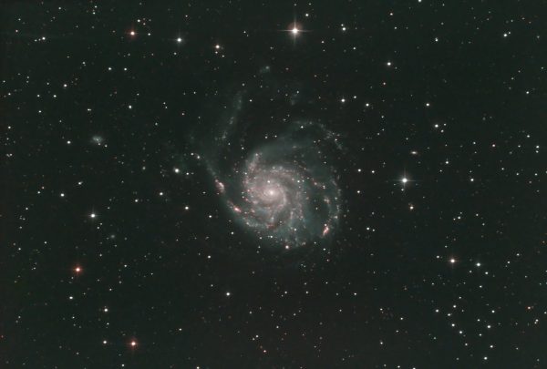 Pinwheel Galaxy or M101 (Ian A Smith) Skywatcher 200p, NEQ6 mount, Altair Triband filter, Baader MPCC M3 coma corrector, ASI294MC Pro at -20C. NINA Observatory Software. 42 x 300 second (3 hour 30 minutes) at Gain 350, Offset 30, dithering every 3rd frame, 40 dark frames, 40 flat fields, 40 dark flat frames. Processed in APP (using Ha-OIII formula), Topaz de-noise and Photoshop. . Wind was quite gusty