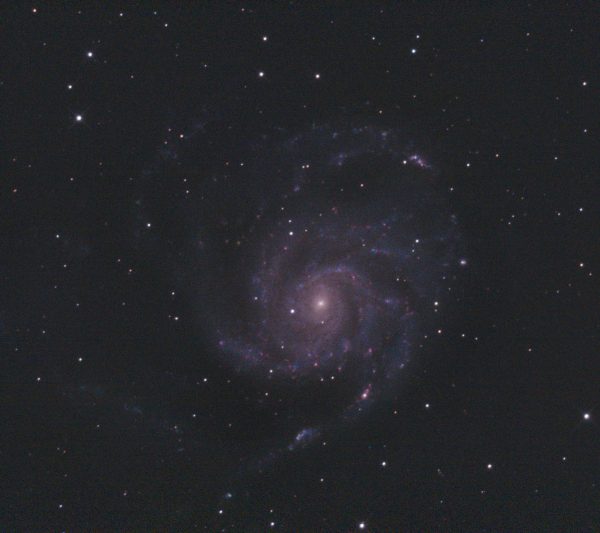M101 Pinwheel Galaxy (Nigel Goodman) 010421 SLCC guided LProMax