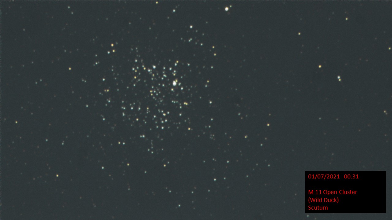 M 11 Open Cluster (Wild Duck) Scutum (Hugh C. Somerville) Wed 30th Jun 2021