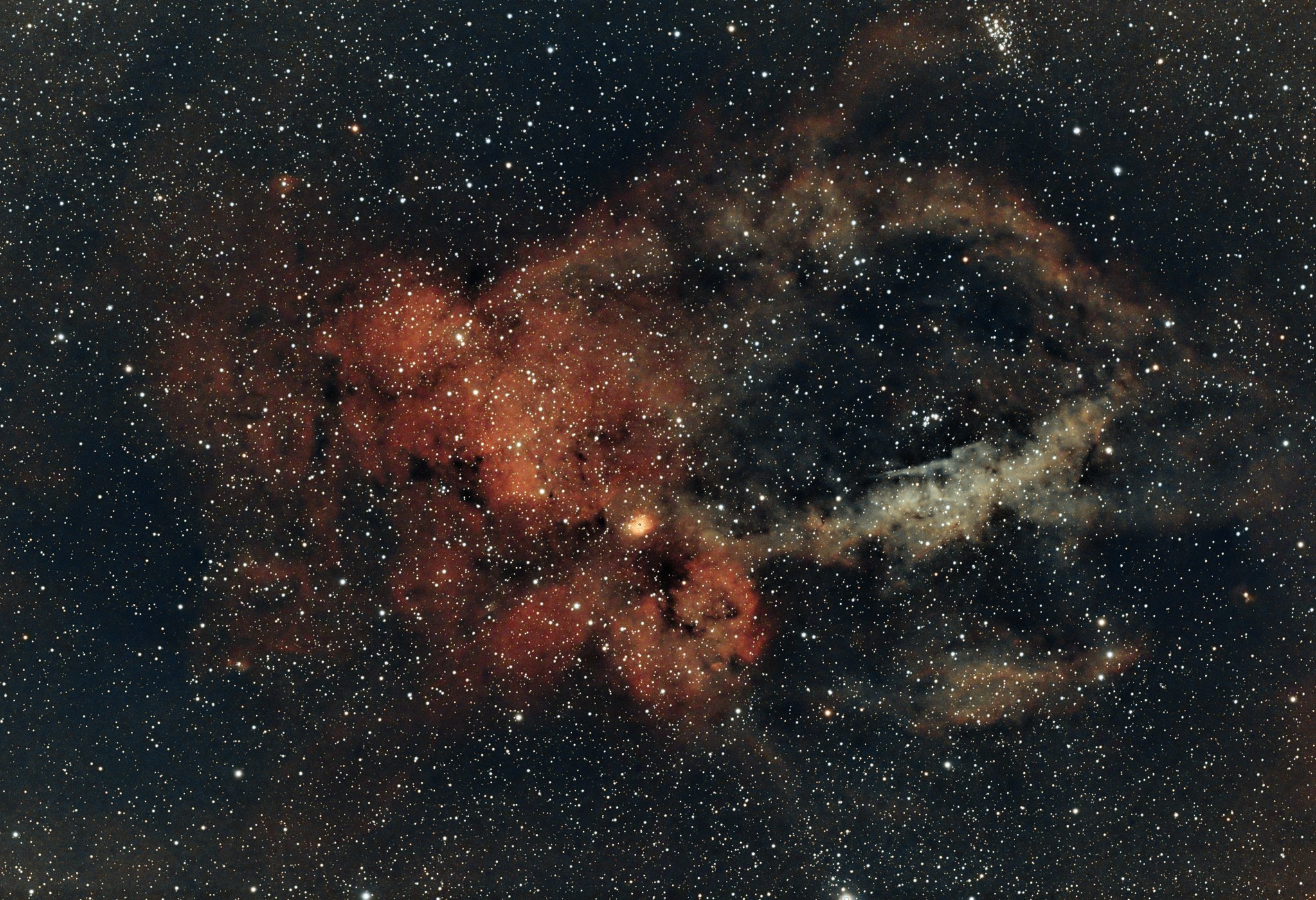 Lobster claw nebula, Pat Devine