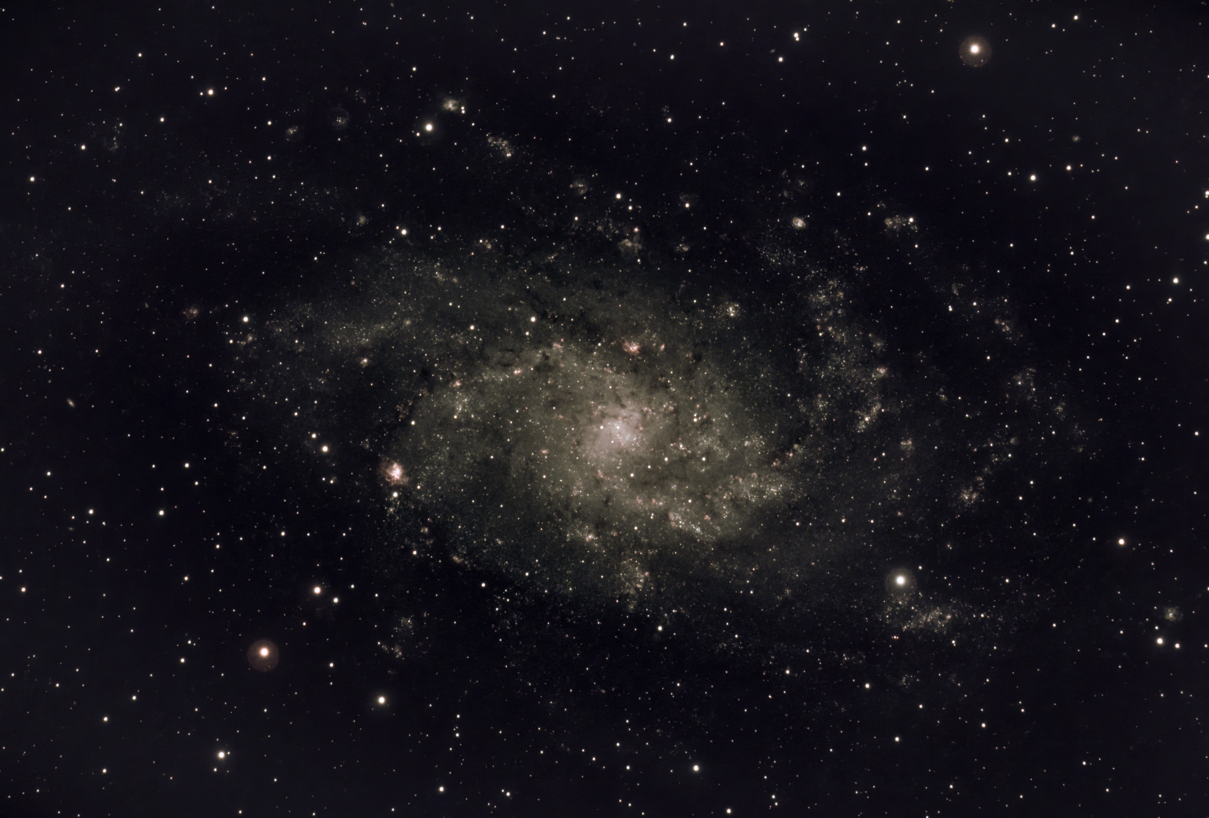 M33 or Triangulum Galaxy (Ian A Smith) Skywatcher 190MN, NEQ6 mount, Altair Tri-band filter, ASI294MC Pro at -20C. 29 x 5 minute exposures (2 hour 25 minutes) at Gain 275, Offset 30 , 50 dark frames and 50 flat fields, 50 dark flat frames. Processed in APP, Pixinsight, Topaz de-noise and Photoshop. 27th September 2021, a bit windy.