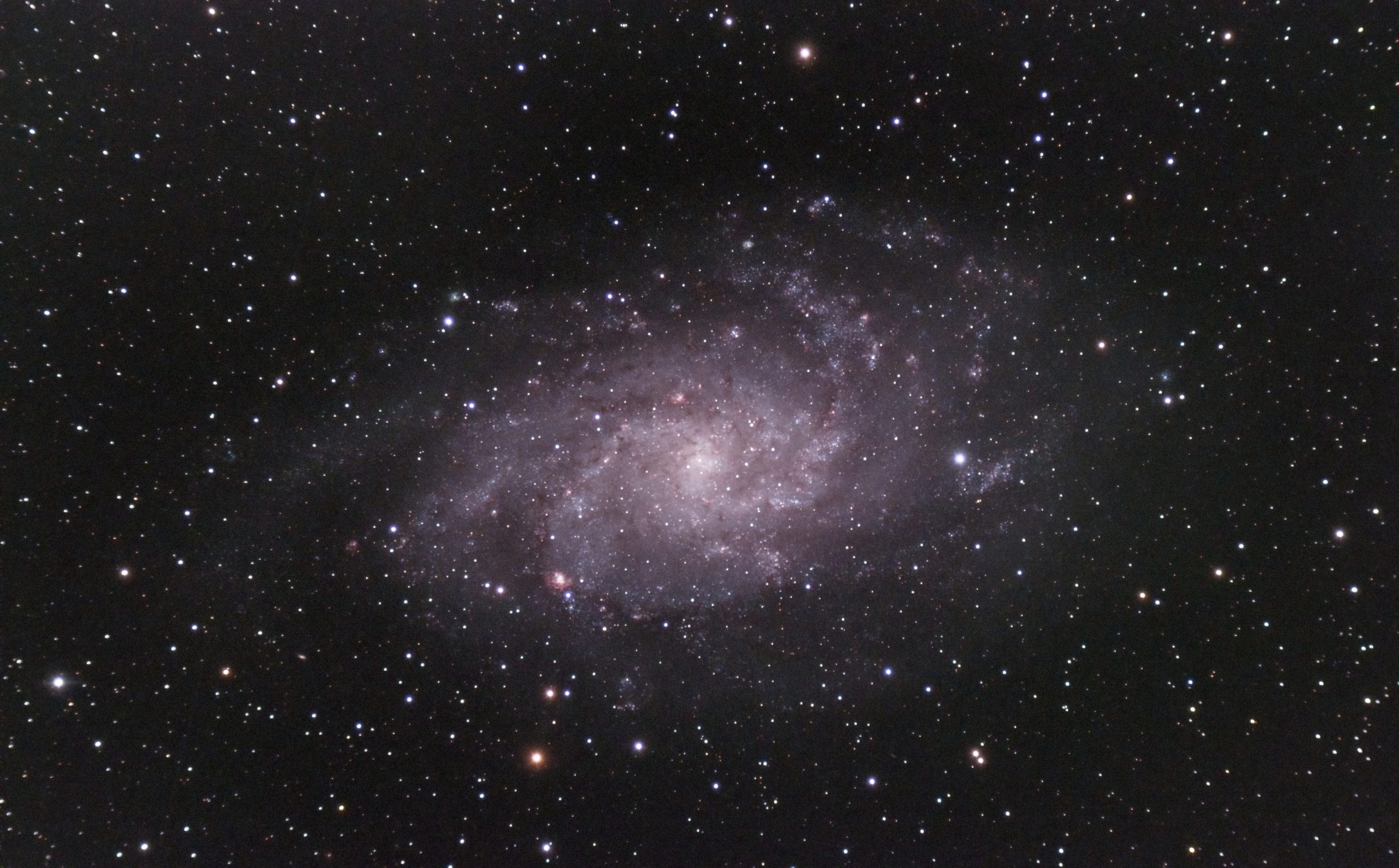 M33 Triangulum Galaxy ( Nigel Goodman) 070921 102ED 294C LProMax 391g 20of x33 (1 of 1)-DeNoiseAI-standard M33 on a very dark, clear but humid night Great deal of trouble with guiding, possibly because of dew. Only 33 stacked out of 76. 150s at 391 gain 20 offset -15C. 105ED, 294C and LProMax filter.