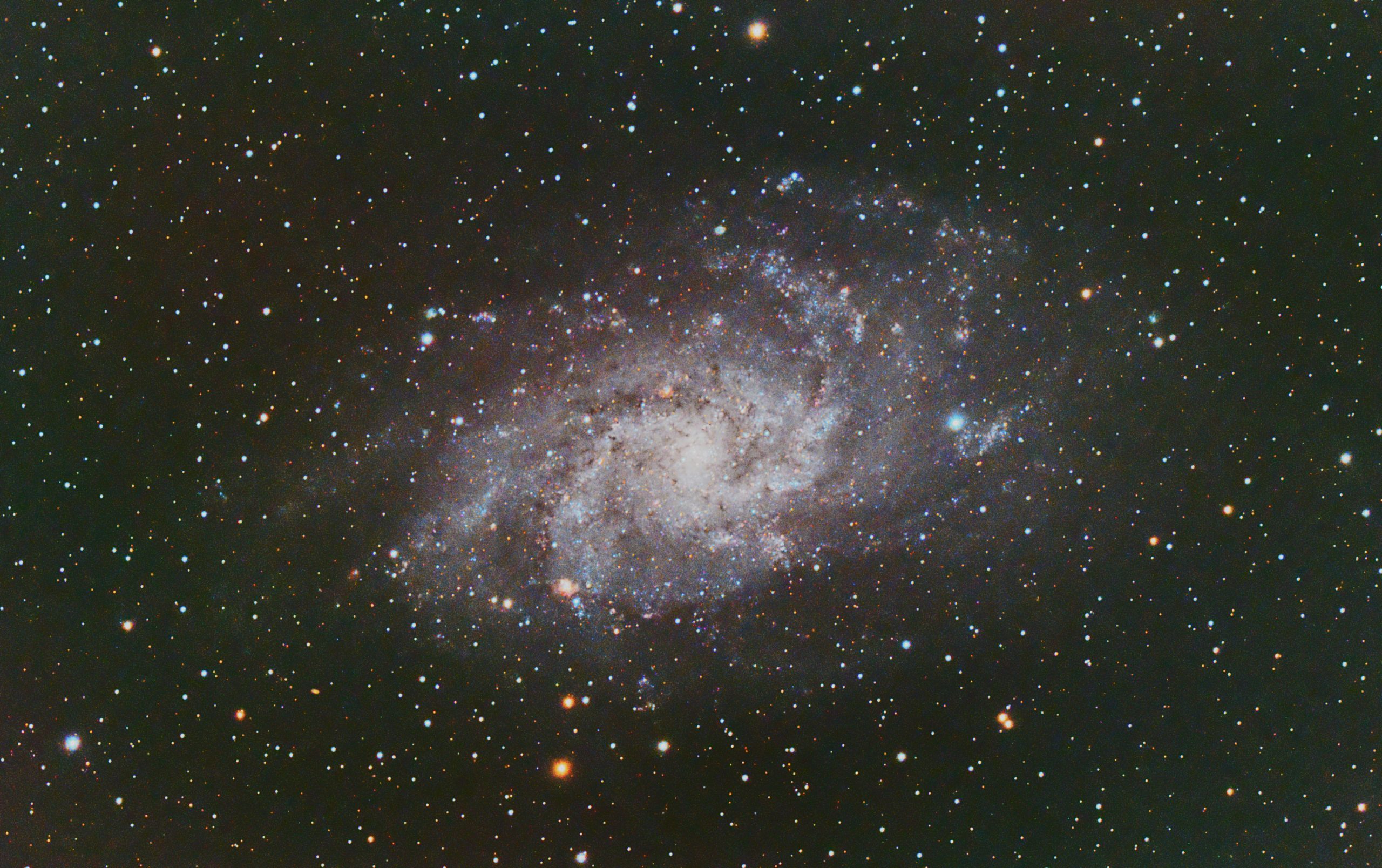M33 (Pat Devine) Edinburgh Bortle 7/8 zone, 11th Step 2021 Celestron RASA 8", ZWO 183mc pro, Optolong l-pro filter, ZWO ZWO ASI Air Pro, Sky-Watcher HEQ5 Pro 36 X 60s and 22x 120s lights; with flats, darks and bias, Gain 122 at -10C. Processed in APP and Pixinsight (small crop to get rid of annoying gradient that resisted other attempt to process it away)
