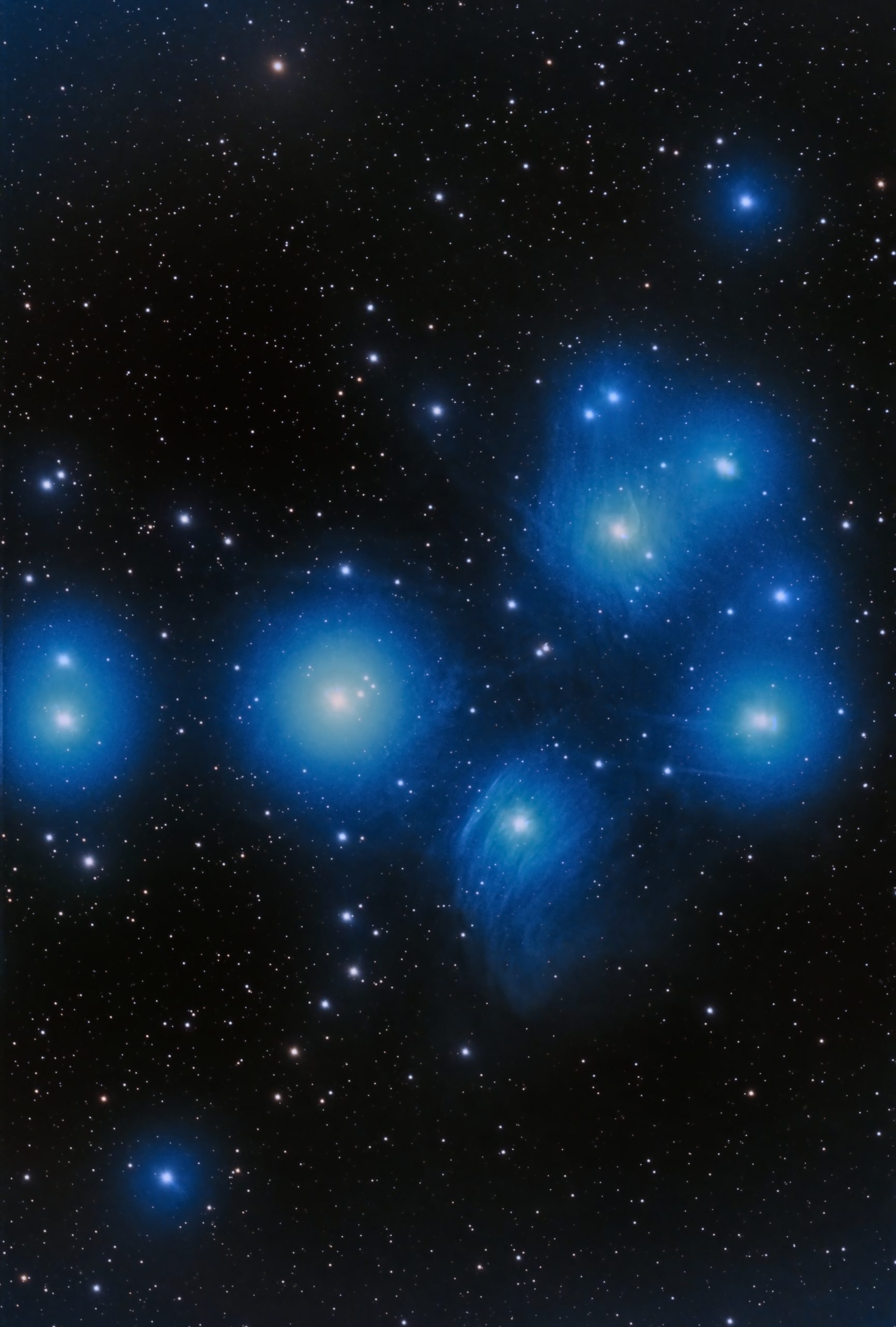 M45 (Pat Devine) M45 also known as the Pleiades or the Seven Sisters from last night. M45 is an open star cluster and lies about 400 light years away located in the constellation of Taurus. The cluster contains 500 stars over a sphere that is 14 light years wide. The cluster is moving at a different radial velocity from the nebulosity suggesting the stars are crossing the path of dust in a molecular cloud. The stars in the Pleiades cluster formed in the last 100 million years and contains a number of hot, blue, extremely luminous B-type stars and is one of the nearest star clusters to Earth. October 31st 01:49 AM Edinburgh Bortle 8 zone Celestron RASA 8" ZWO 183mc pro Optolong lpro filter
