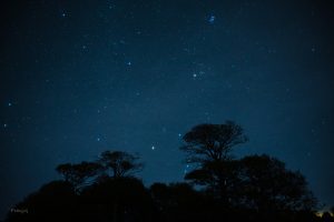 C41 Mel 25 Hyades Open Cluster Taurus mag. 0.5 (Fran Goodman)