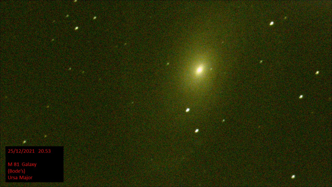 M 81 Galaxy (Bode's) Ursa Major (Hugh C. Somerville) Sat 25th Dec 2021