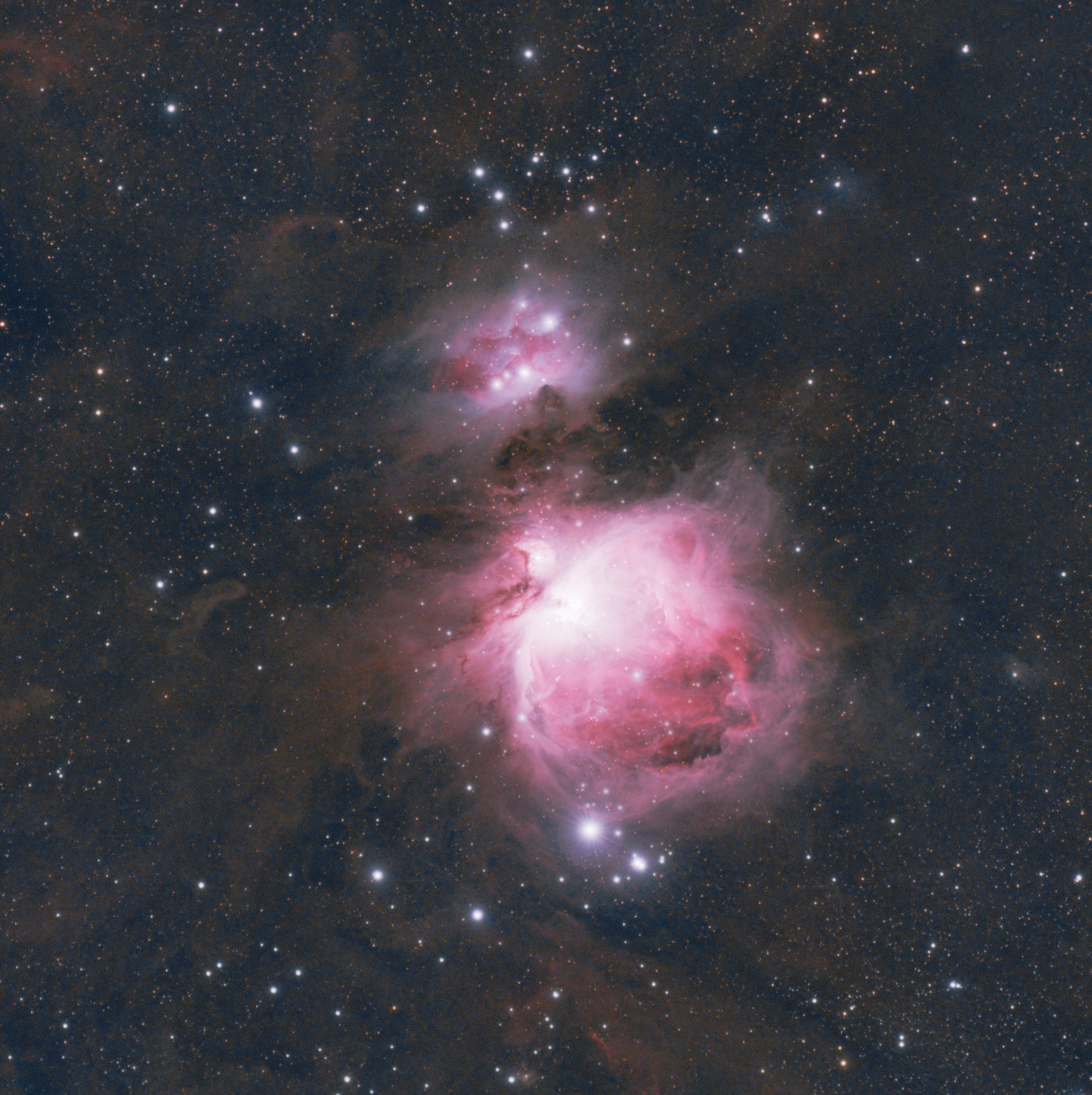 M42 (Greig Louden) Redcat 51, ASI 533 Mc-Pro IDAS LP filter 4th Nov 2021 50x120s images stacked in APP. Processed in PI