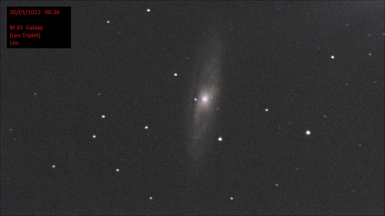 M 65 Galaxy (Leo Triplet) Leo (Hugh C. Somerville) Sat 29th Jan 2022