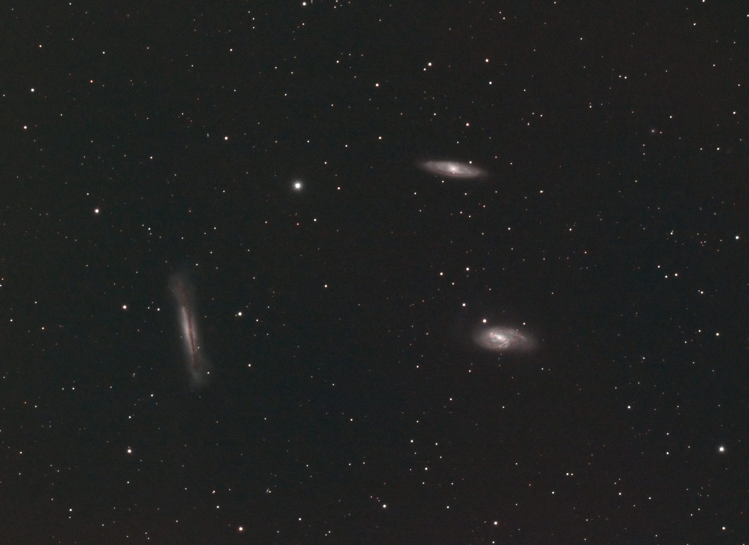 Leo Triplet M65-66 H'Brgr Galaxies (nigel goodman) 240122 102ED 294C0.75 red. LEnhance 240s 121g 30ofs -20C x 40 (1 of 1)-DeNoiseAI-standard Second target of the night. Not the correct filter to use or the best FOV but Leo was so well placed on a clear night I could not resist trying a subject I have been wanting to image