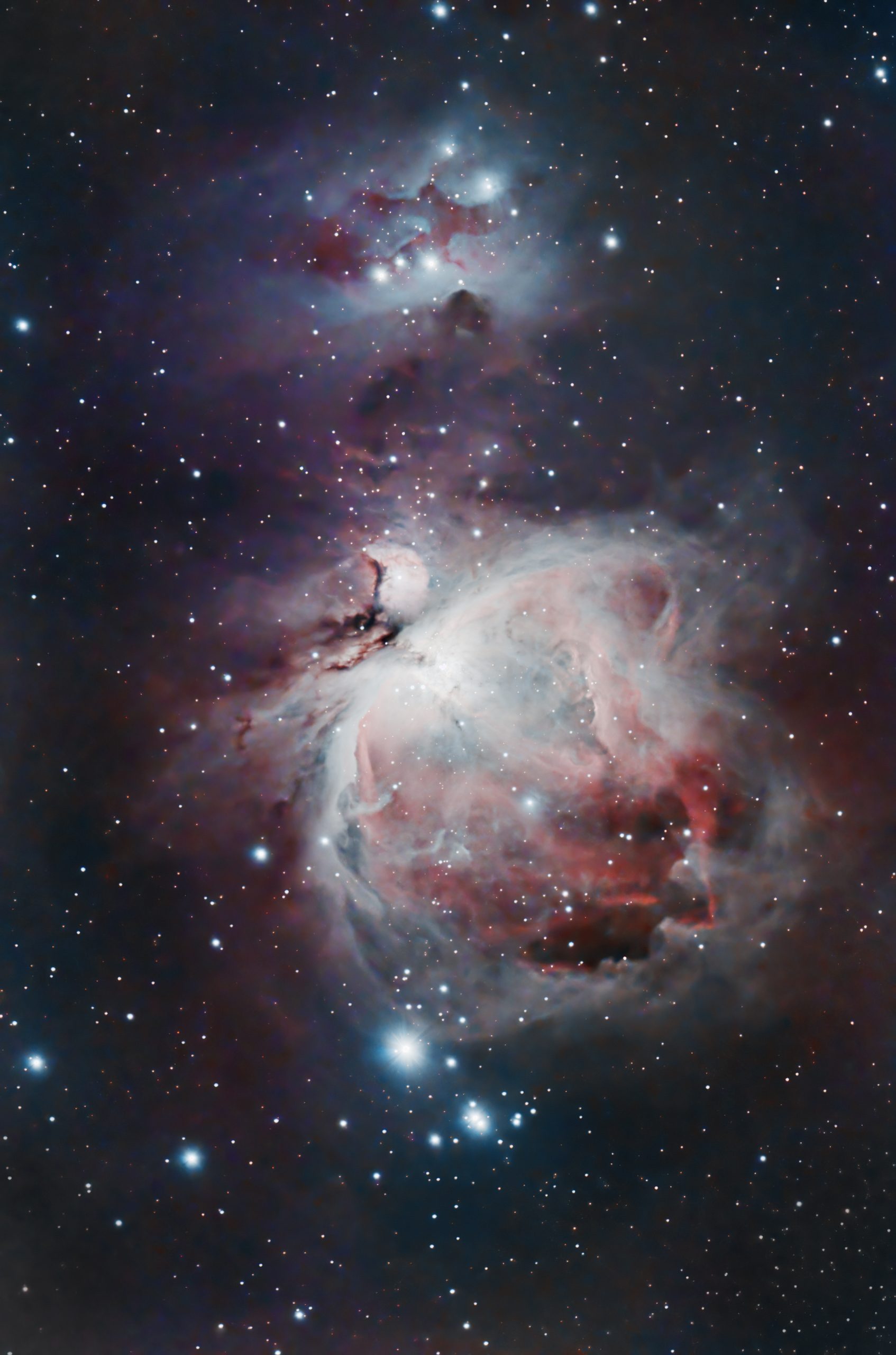 M42 (Pat Devine) 10s exposures January 20th 2022 Edinburgh Bortle 8 zone Celestron RASA 8" ZWO 183mc pro ZWO EAF Optolong l-pro ZWO air pro Sky-Watcher HEQ5 Pro 96 x 10s lights with flats, darks and bias Gain 122 at -10C Processed in APP , Pixinsight and Photoshop trying out short exposures.
