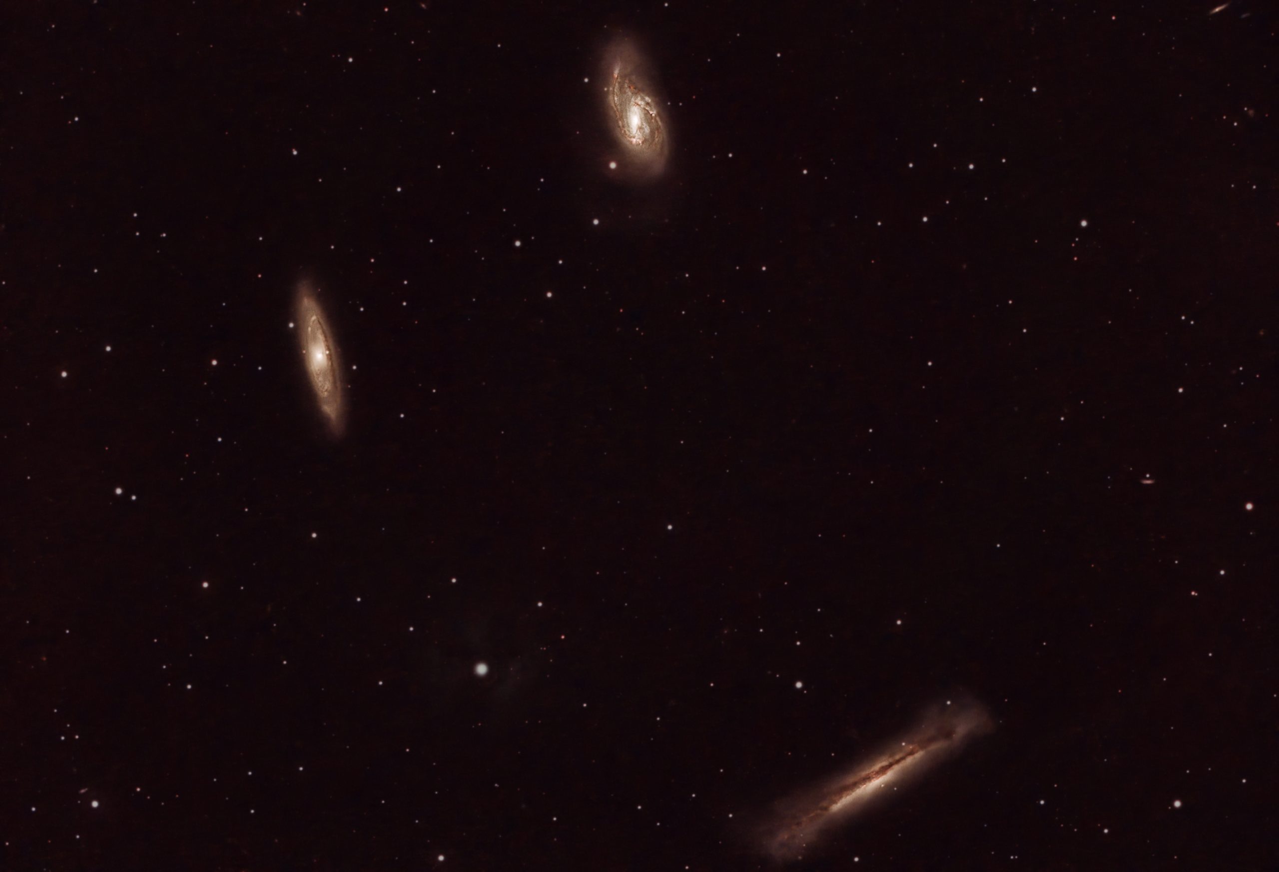 The Leo Triplet of galaxies (Ian A Smith) M66, M65 and NGC 3628 (Hamburger Galaxy), from left to right. And many smaller ones. Skywatcher 190MN, NEQ6 mount, Altair Tri-band filter, ASI294MC Pro at -20C. 42 x 1 minute exposures (42 minutes) at Gain 120, Offset 30, 50 dark frames, 50 flat fields and 50 dark flat frames. Processed in APP, Pixinsight Topaz denoise and Photoshop. Imaged between 23:27 and 0:42 on the 26th and 27th of February 2022.