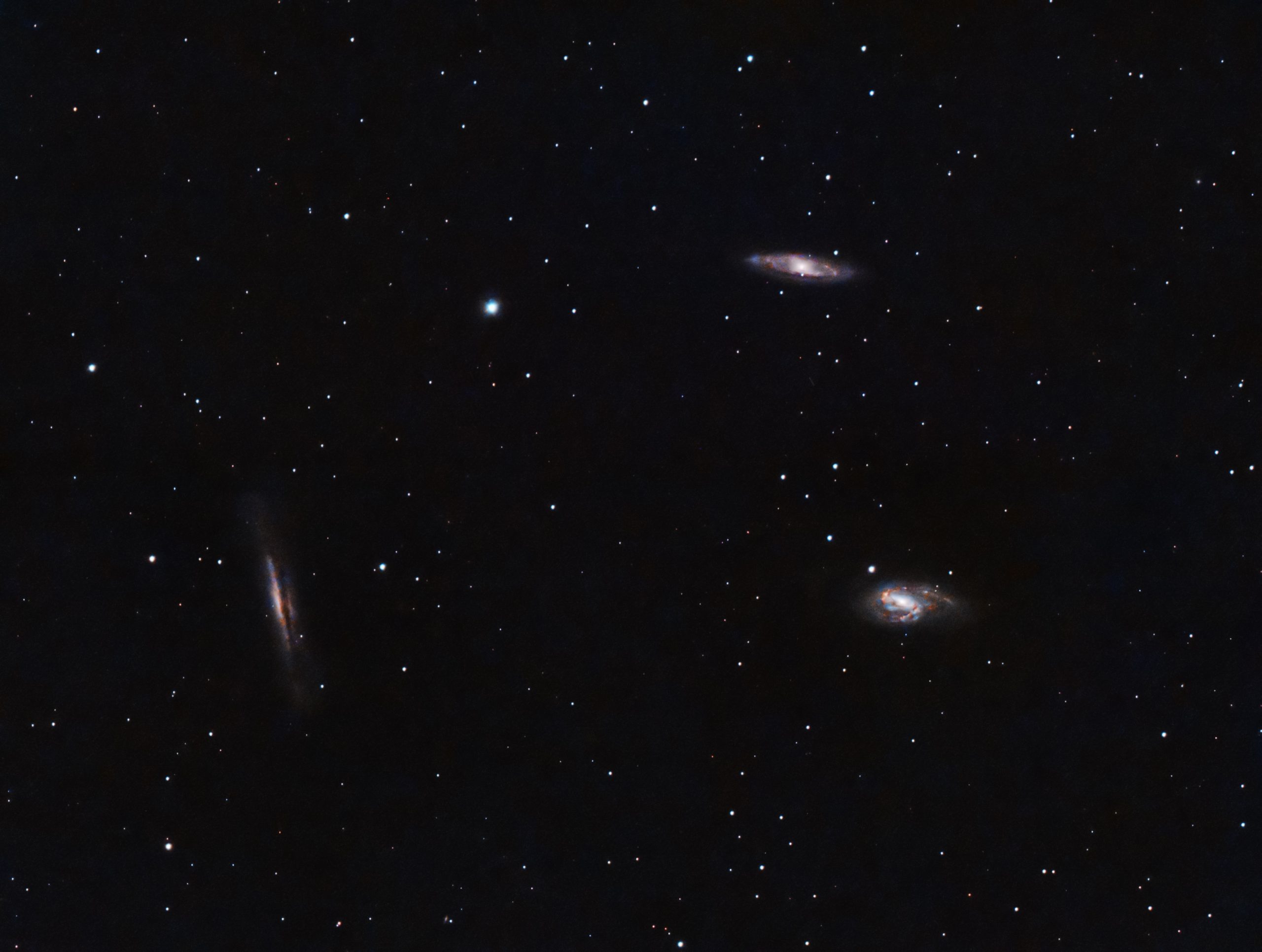 Leo Triplet (Pat Devine) M65 top right, M66 bottom right. February 11th 2022 from 23:50 Edinburgh Bortle 7/8 zone Celestron RASA 8" ZWO 183mc pro ZWO EAF IDAS NBZ filter ZWO air pro Sky-Watcher HEQ5 Pro 100*30s lights with flats, darks and bias Gain 122 at -10C Processed in APP , Pixinsight and Photoshop