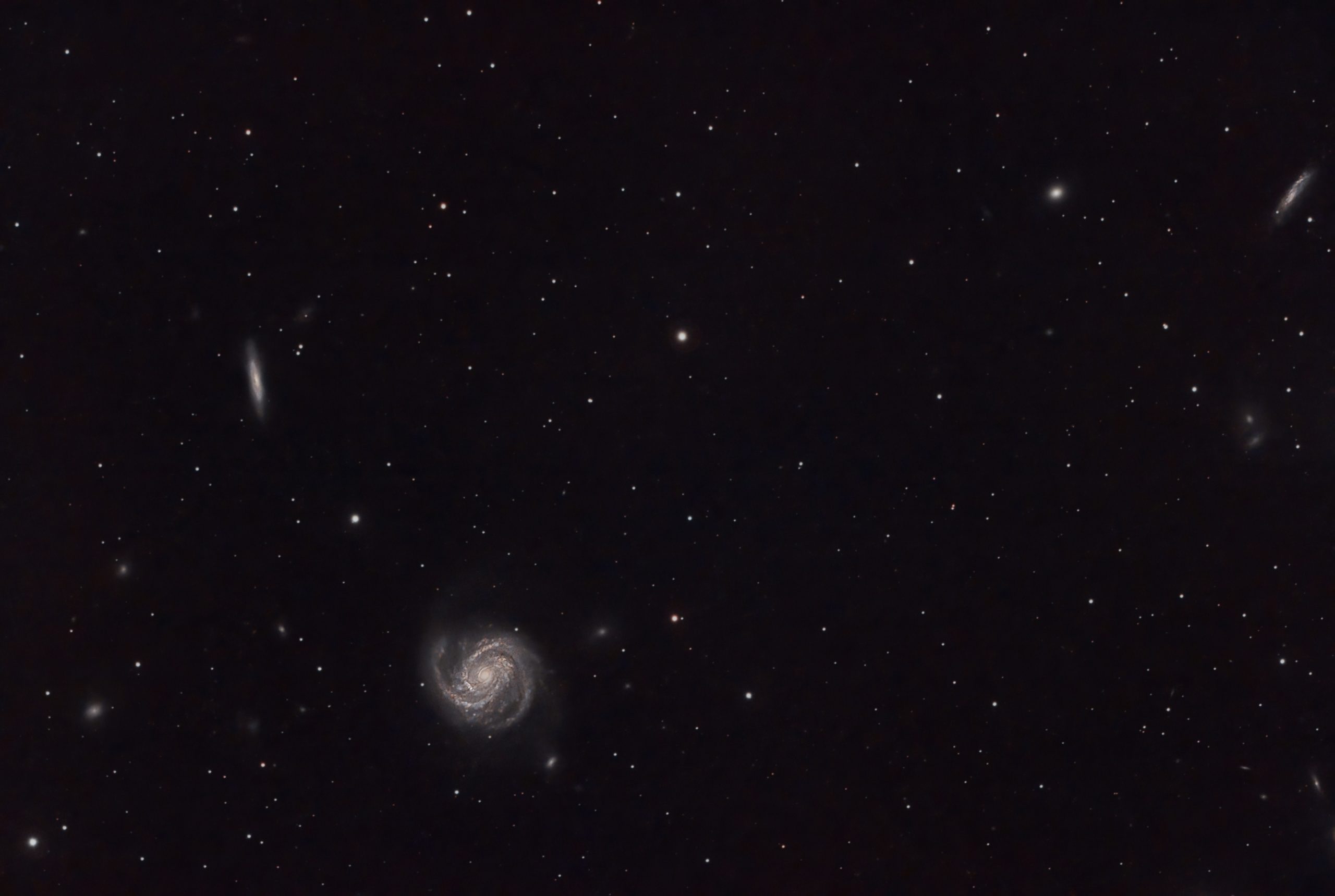Blowdryer Galaxy or M100 (Ian A Smith) As well as UGC7442, NGC4396, UGC7502 et al. Skywatcher 190MN, NEQ6 mount, Altair Tri-|Band filter, ASI294MC Pro at -20C. 21 x 5 minute exposures (1 hour 45 minutes) at Gain 120, Offset 30, 50 dark frames, 50 flat fields and 50 dark flat frames. Processed in Pixinsight Topaz denoise and Photoshop. Collected between 23:11 and 0:51 on the 26th/27th of March, 2022.