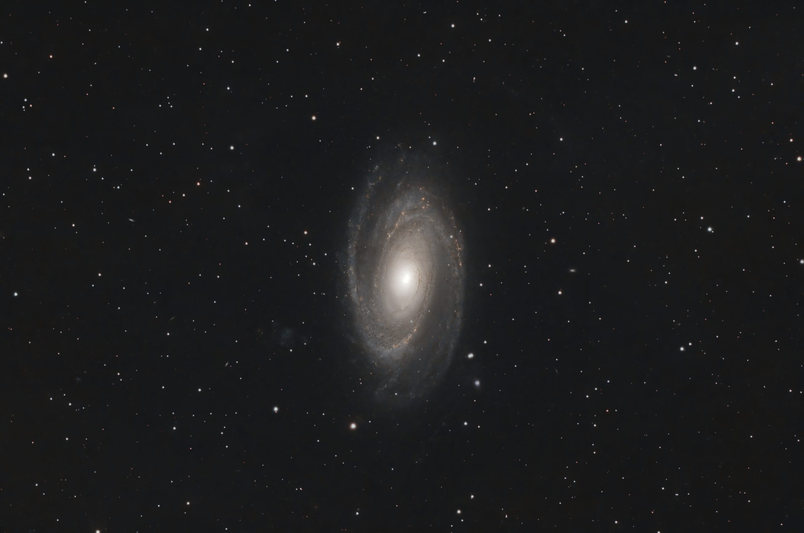 Bode's Galaxy or M81 (Ian A Smith) Skywatcher 190MN, NEQ6 mount, Altair Tri-|Band filter, ASI294MC Pro at -20C. 23 x 5 minute exposures (1 hour 55 minutes ) at Gain 120, Offset 30, 50 dark frames, 50 flat fields and 50 dark flat frames. Processed in Pixinsight Topaz denoise and Photoshop. Collected between 0:01 and 1:53 on the 26th of March, 2022.