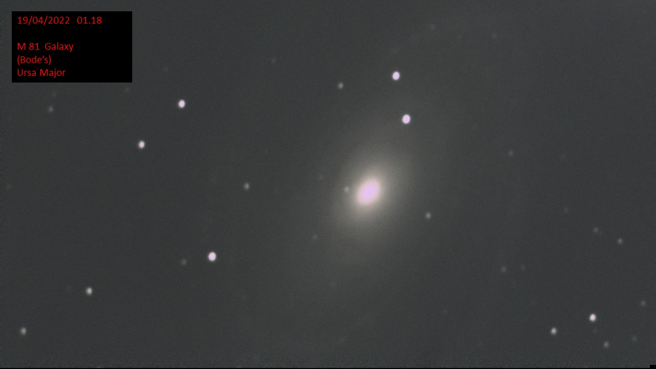 M 81 Galaxy (Bode's) (Hugh C. Somerville) Ursa Major Mon 18th Apr 2022