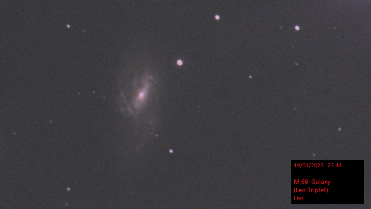M 66 Galaxy (Leo Triplet) (Hugh C. Somerville) Leo Thu 19th Jan 2023