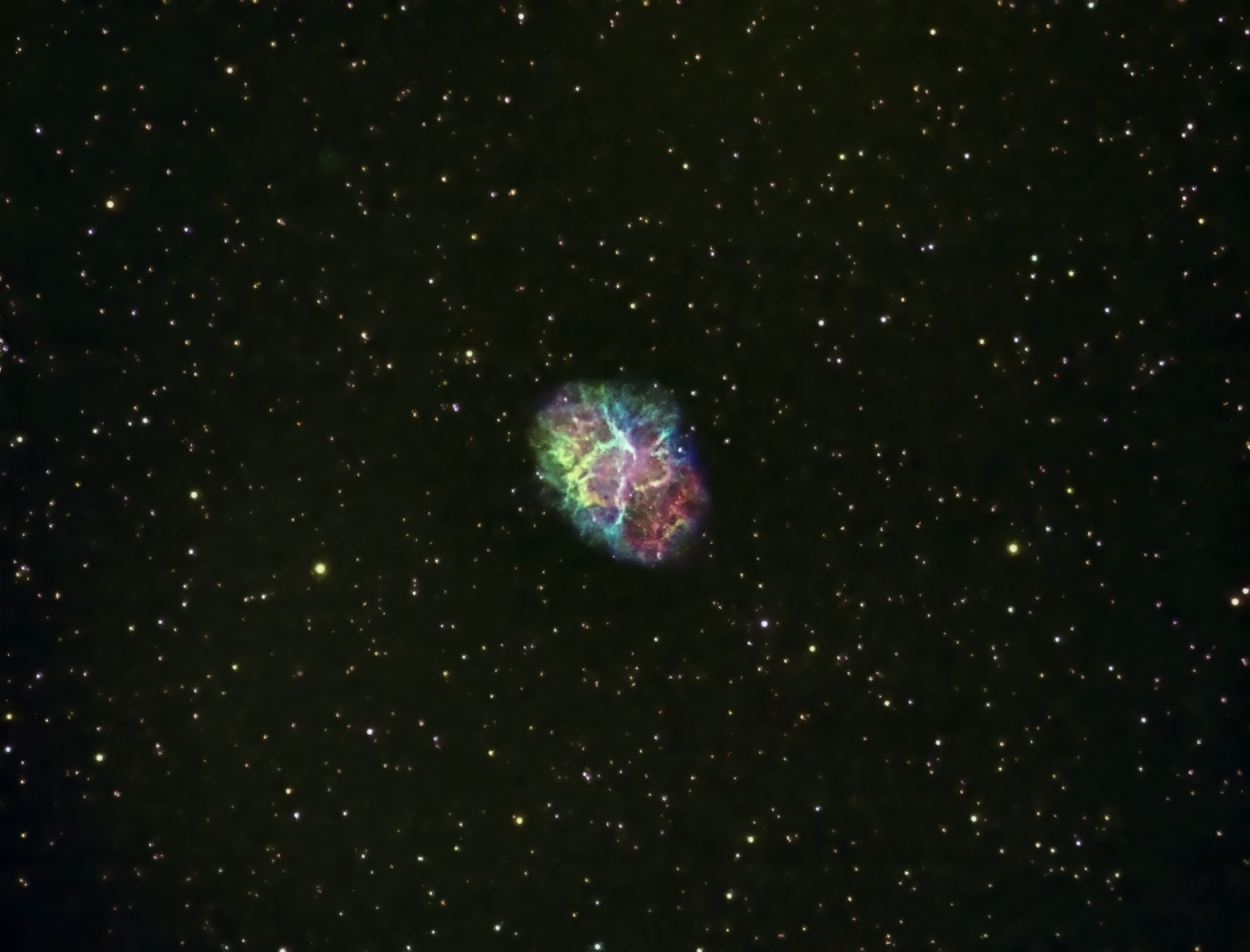 M1 Crab (William Bonar) 250123