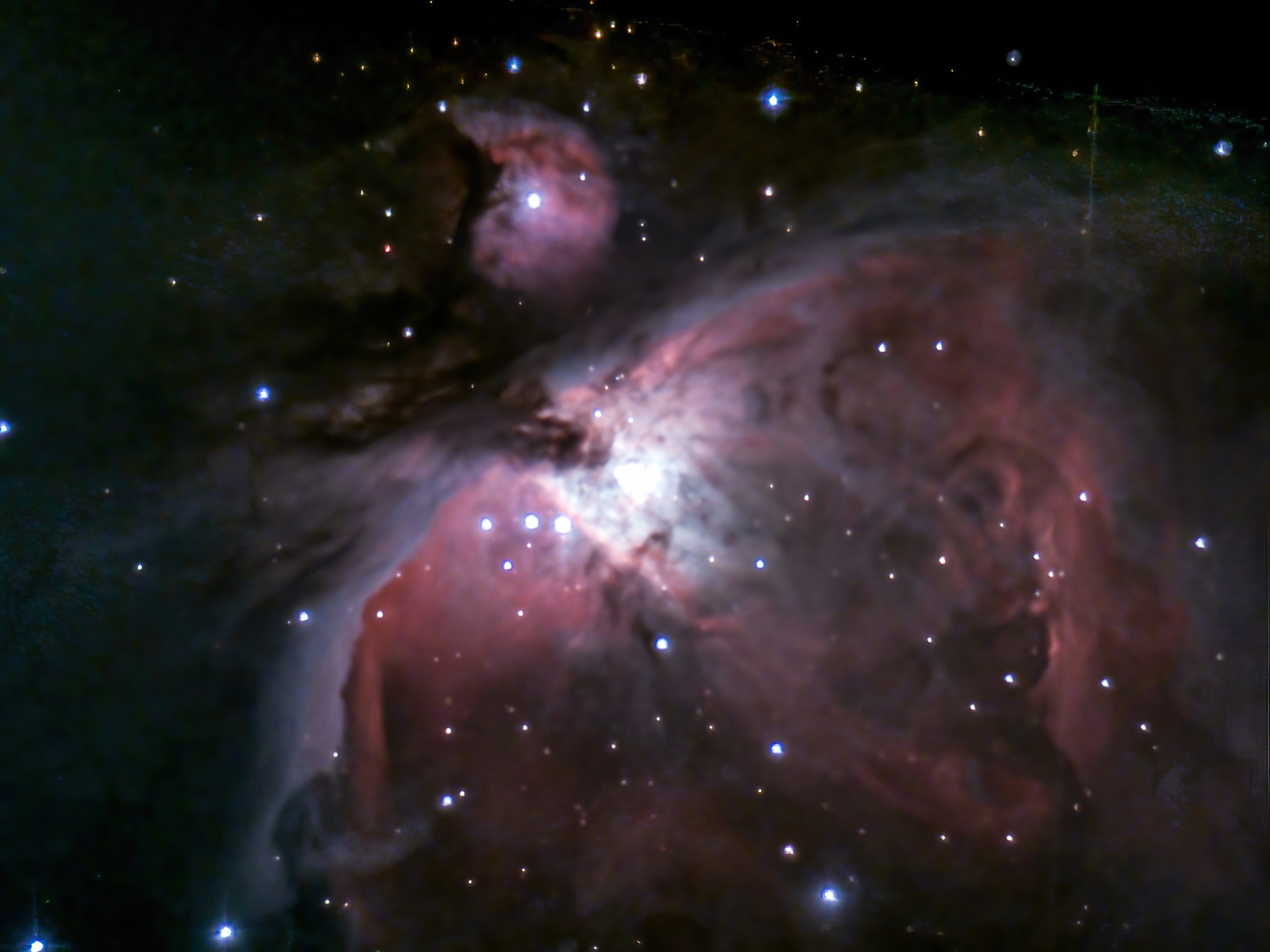 M42 - Great Nebula in Orion (Peter Black) 10 minutes eQuinox, Lightroom, de-noise.