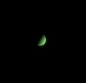 Venus by Mike McGovern