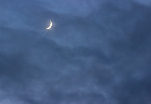 Crescent Moon and Venus, 23 May 2023, Mark Phillips