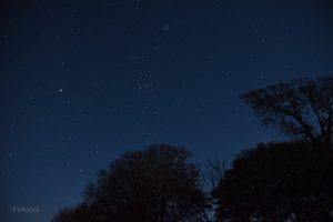 Taurus and the Pleiades