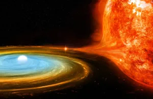 White dwarf pulling material away from a red giant