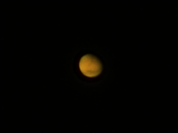 54040284815_f9c2766c6c_o