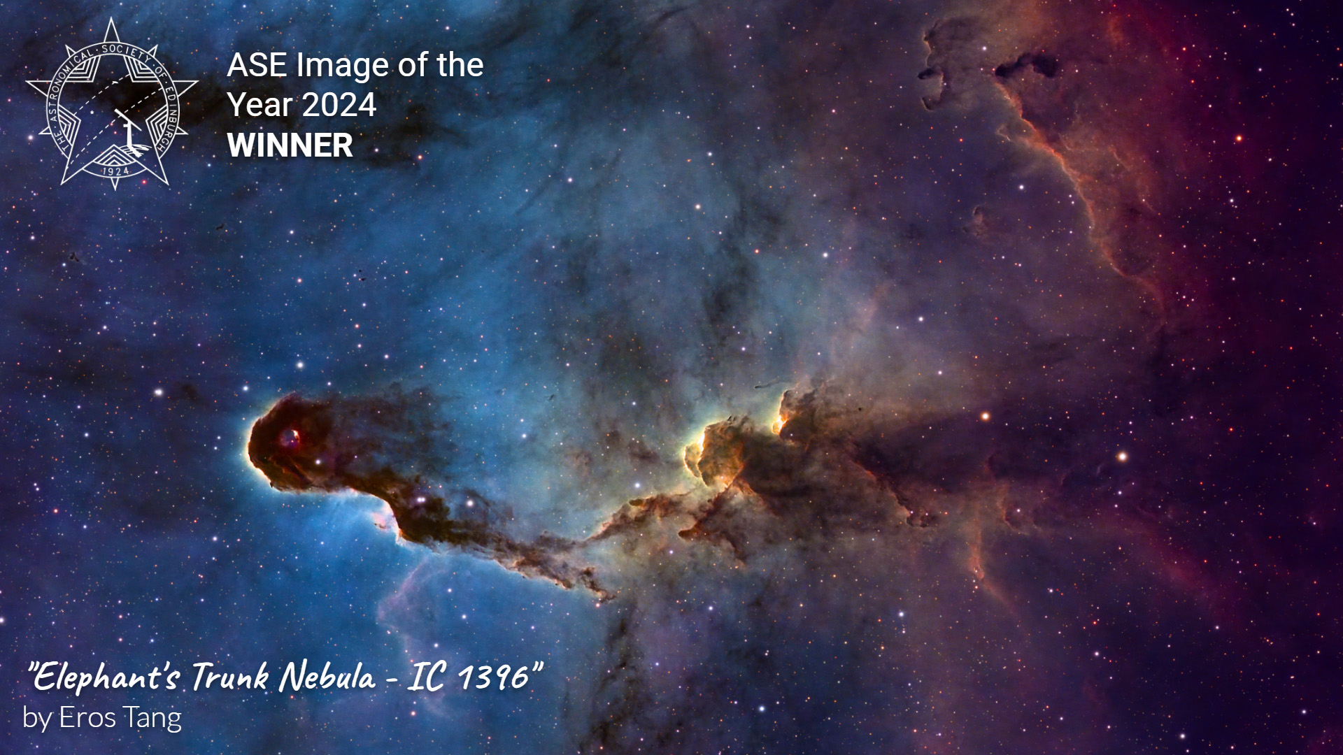 Image of the Year 2024 by Eros Tang, Elephant trunk Nebula, colourful gaseus clouds in red, yellow, pink and predominantly blue background with darker clouds like an elephant trunk and eye