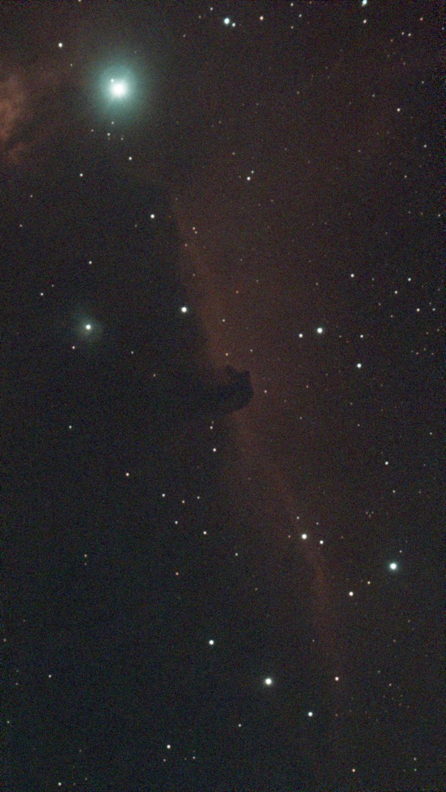 Horsehead nebula Seestar