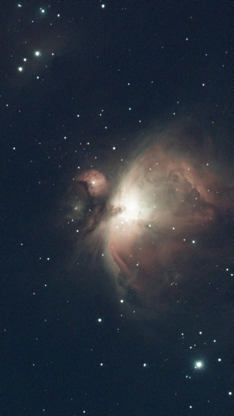 Orion Nebula Seestar