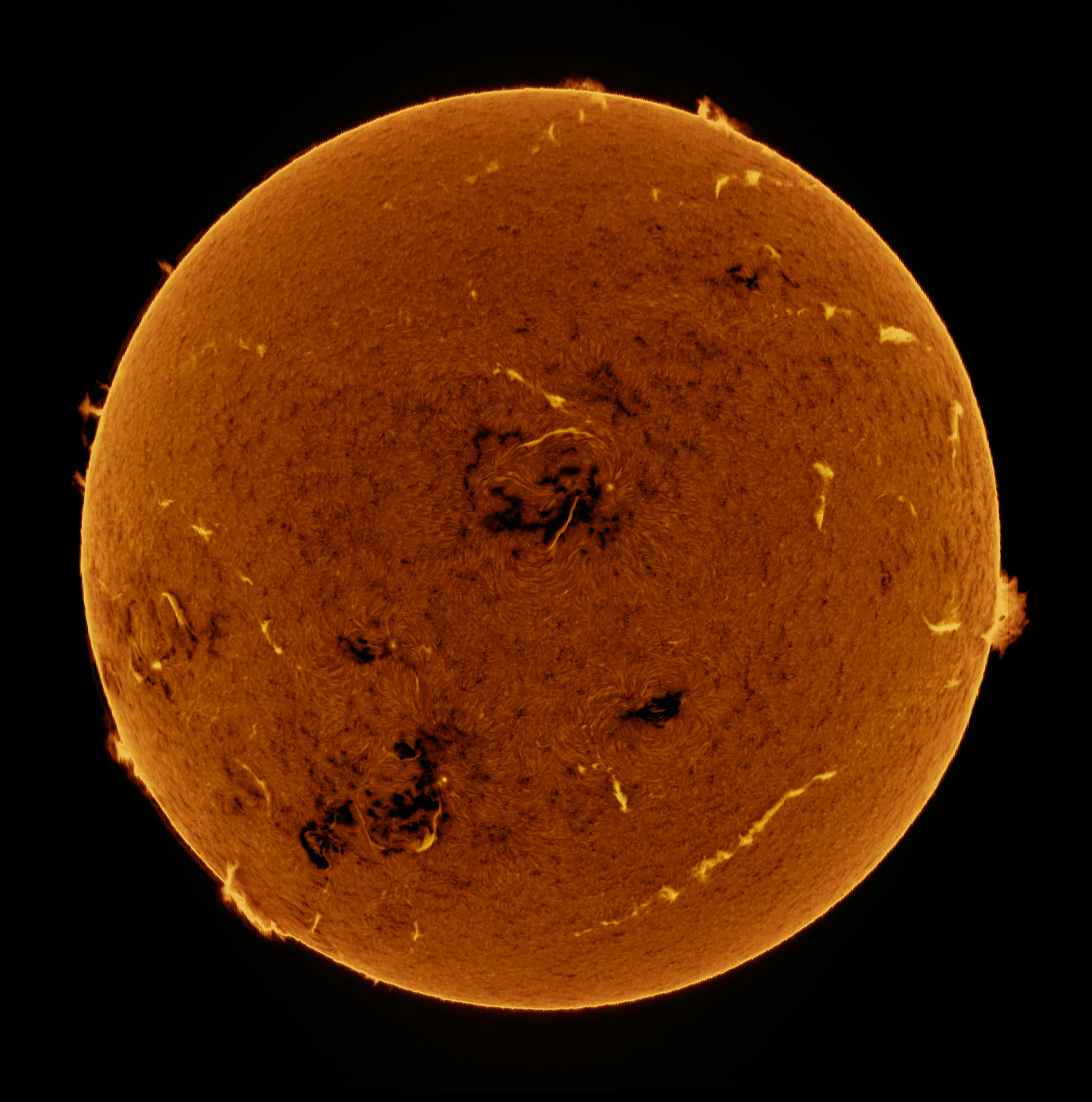 Spectroheliograph scan of the Sun, Rob Parsons