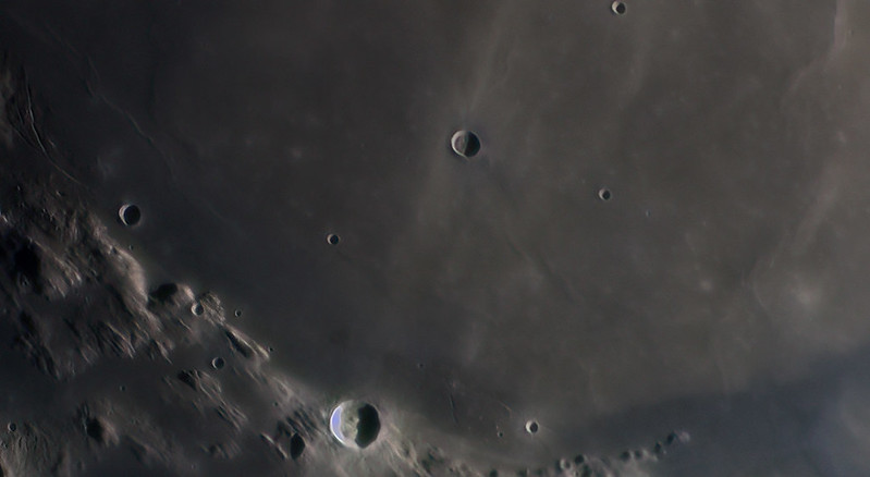 55168549162_6f6e8563be_c
