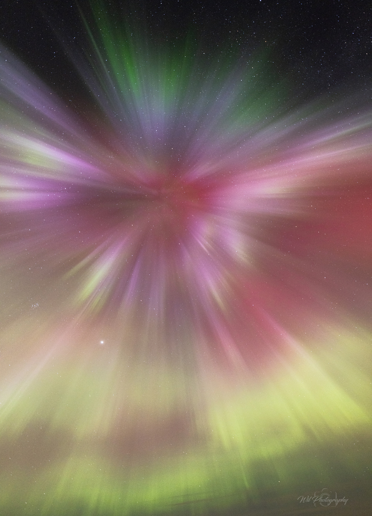 aurora-Wil-Cheung